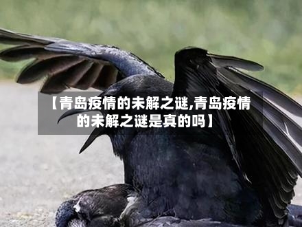 【青岛疫情的未解之谜,青岛疫情的未解之谜是真的吗】