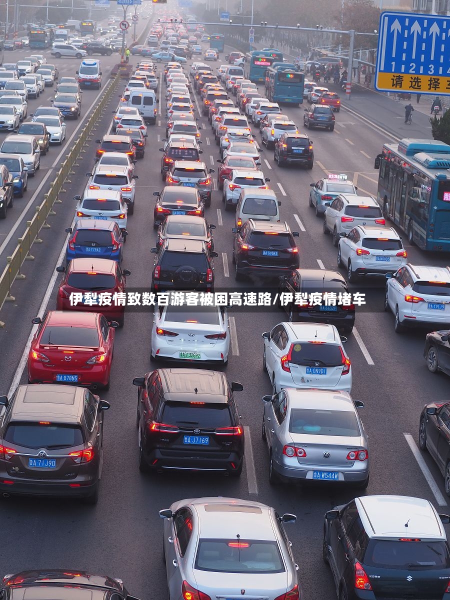 伊犁疫情致数百游客被困高速路/伊犁疫情堵车-第3张图片