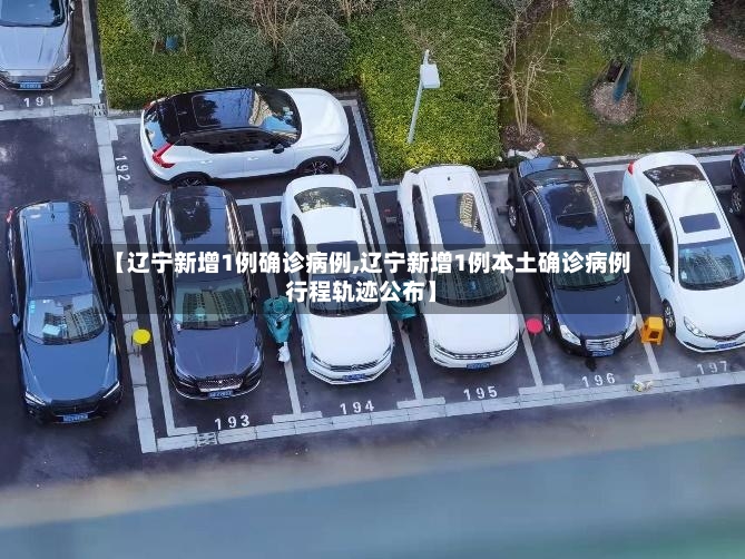 【辽宁新增1例确诊病例,辽宁新增1例本土确诊病例行程轨迹公布】