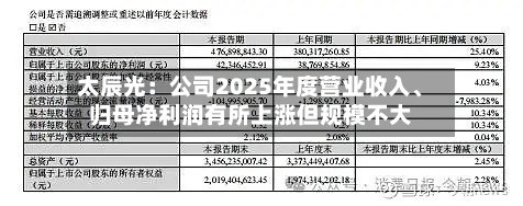 太辰光：公司2025年度营业收入、归母净利润有所上涨但规模不大