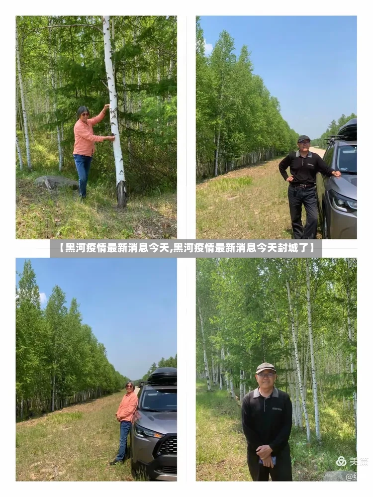 【黑河疫情最新消息今天,黑河疫情最新消息今天封城了】-第2张图片