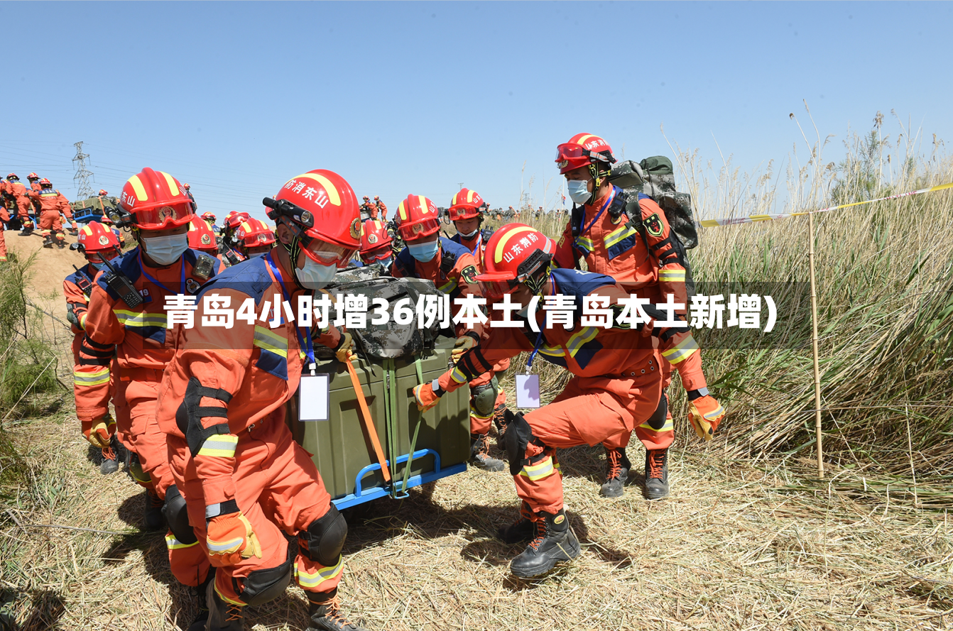 青岛4小时增36例本土(青岛本土新增)-第2张图片