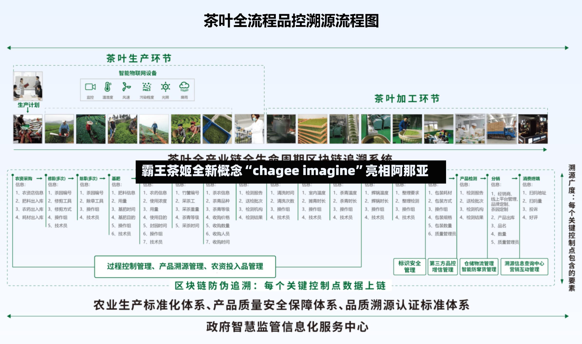 霸王茶姬全新概念“chagee imagine”亮相阿那亚-第2张图片