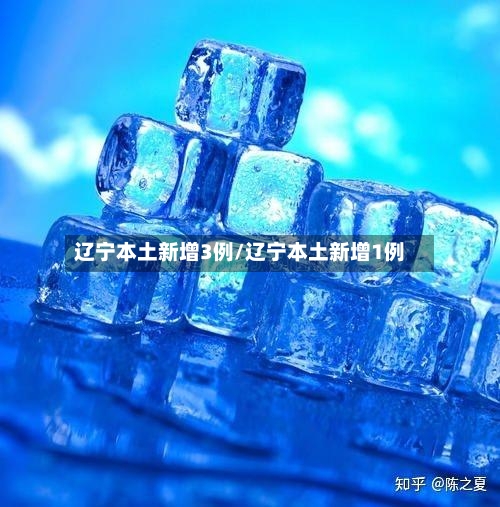 辽宁本土新增3例/辽宁本土新增1例-第2张图片