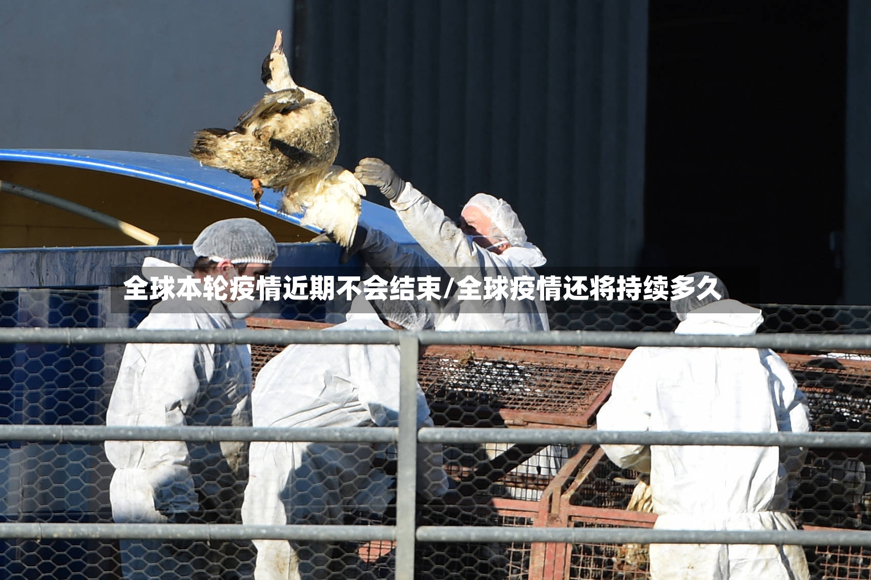 全球本轮疫情近期不会结束/全球疫情还将持续多久