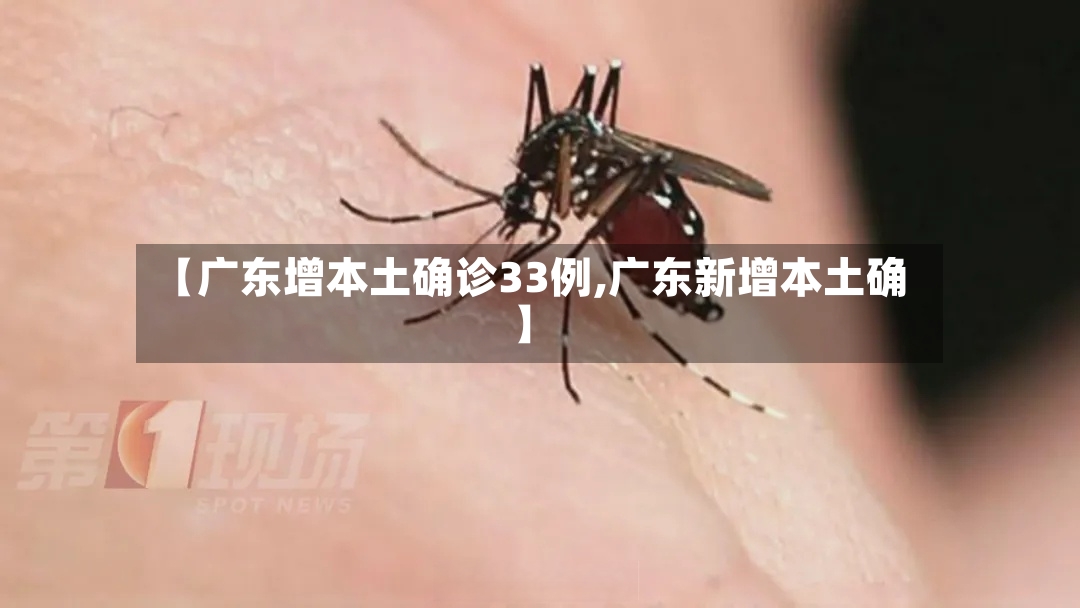 【广东增本土确诊33例,广东新增本土确】