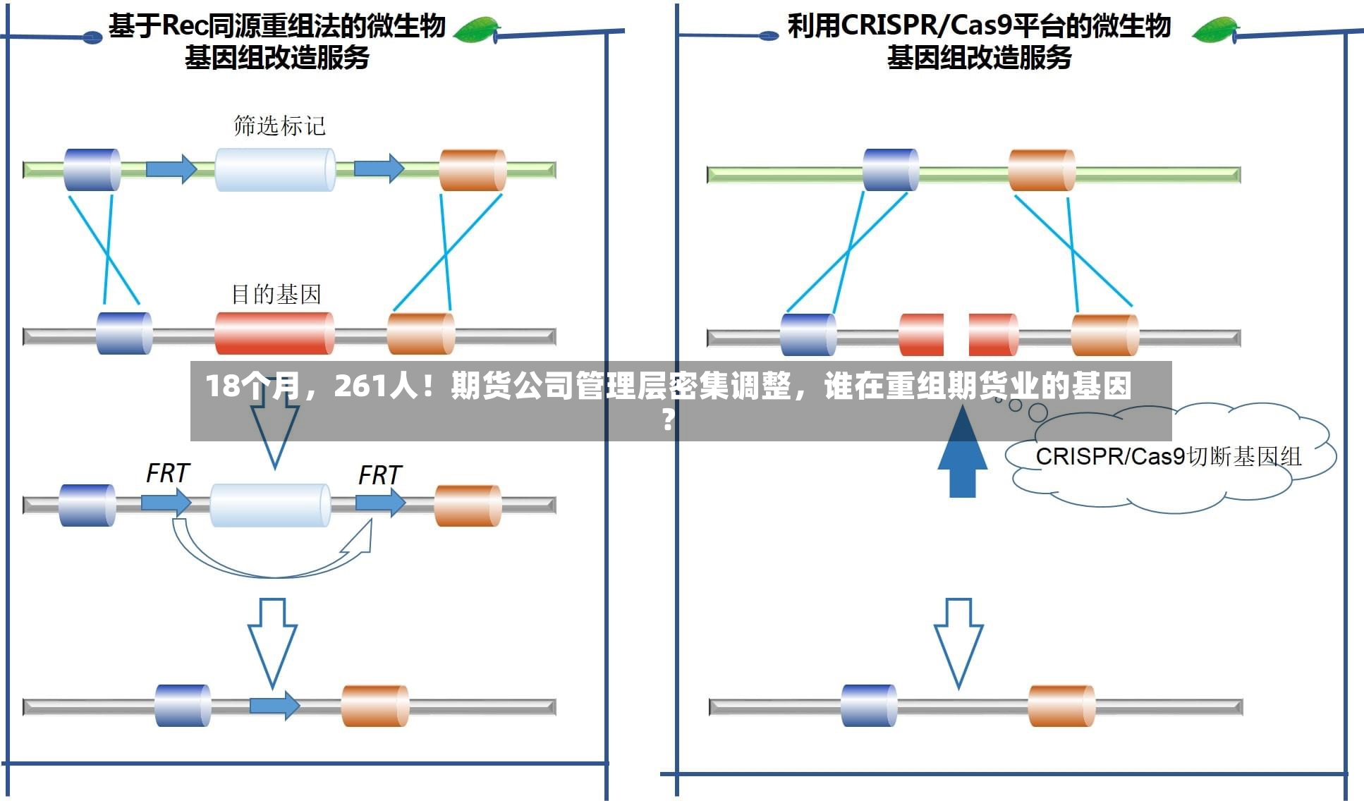 18个月，261人！期货公司管理层密集调整	，谁在重组期货业的基因？-第3张图片