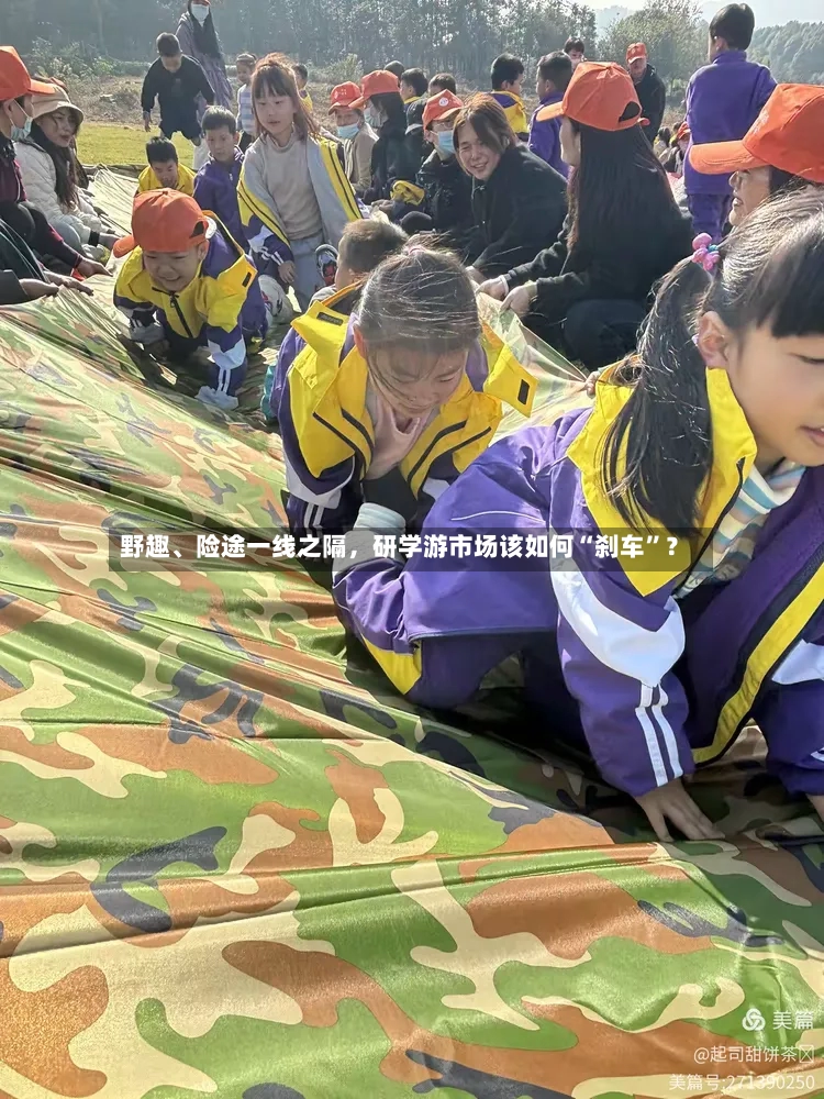野趣	、险途一线之隔，研学游市场该如何“刹车	”？-第3张图片