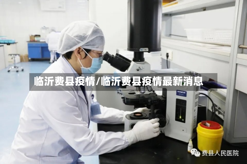 临沂费县疫情/临沂费县疫情最新消息-第2张图片