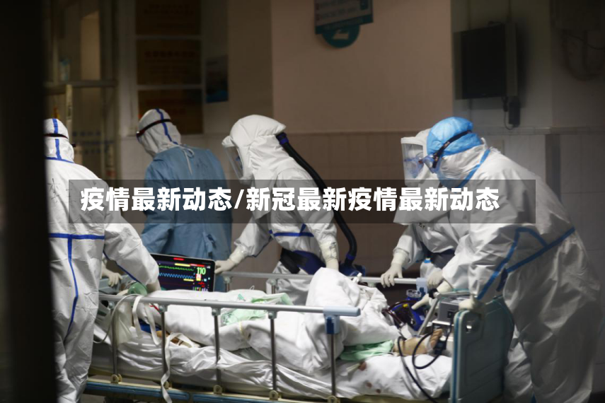 疫情最新动态/新冠最新疫情最新动态