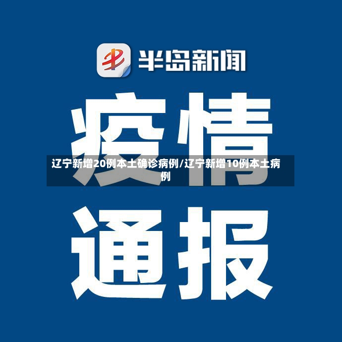 辽宁新增20例本土确诊病例/辽宁新增10例本土病例-第3张图片