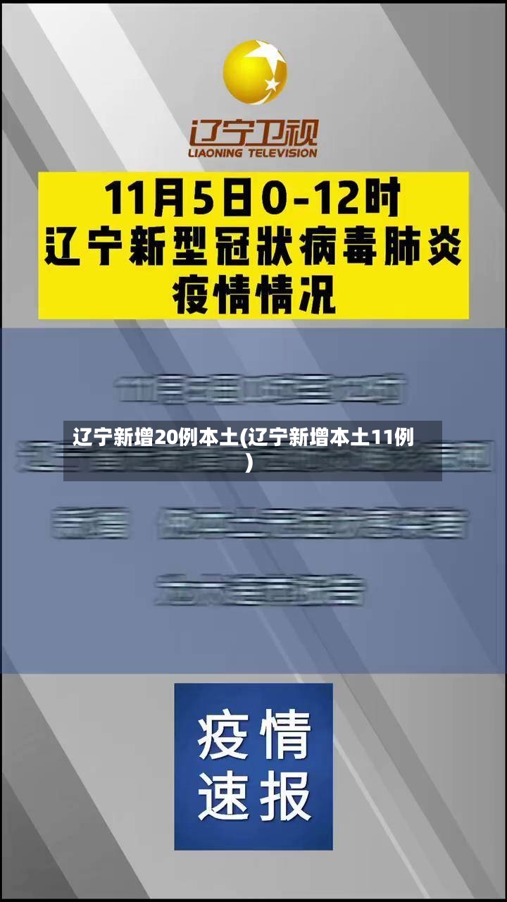 辽宁新增20例本土(辽宁新增本土11例)