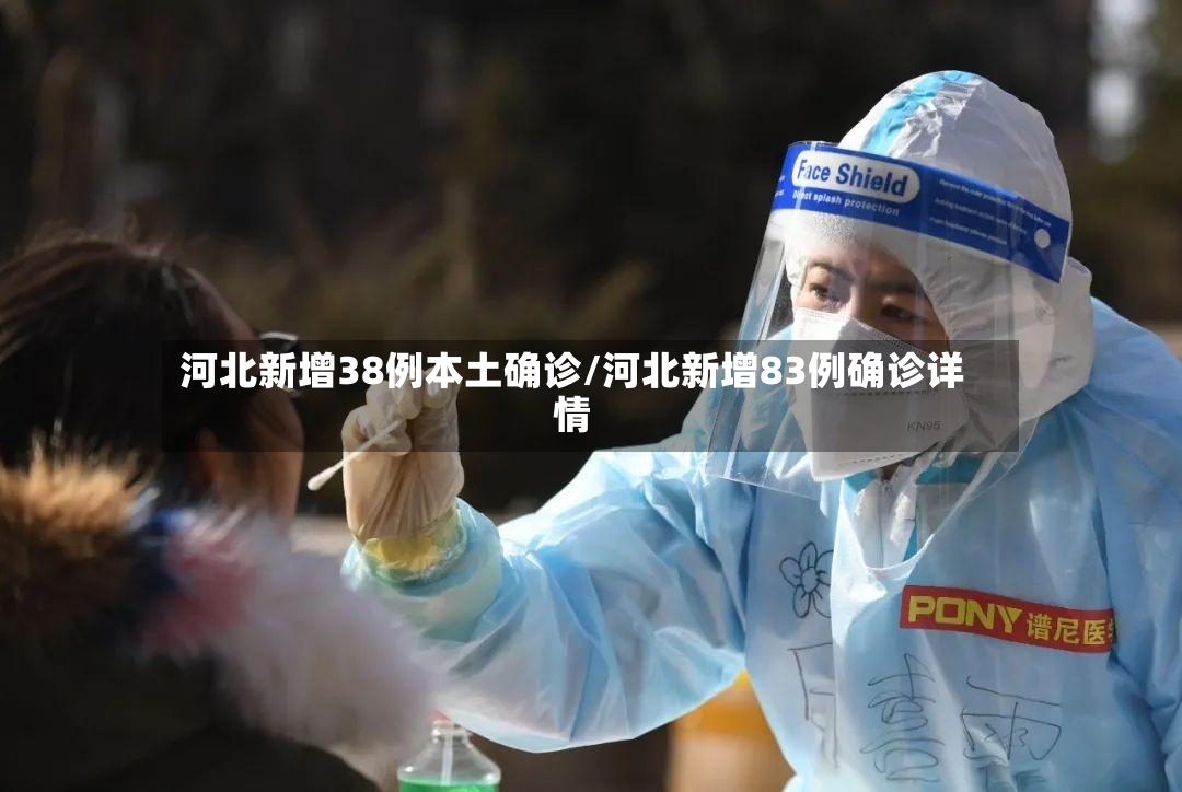 河北新增38例本土确诊/河北新增83例确诊详情-第3张图片