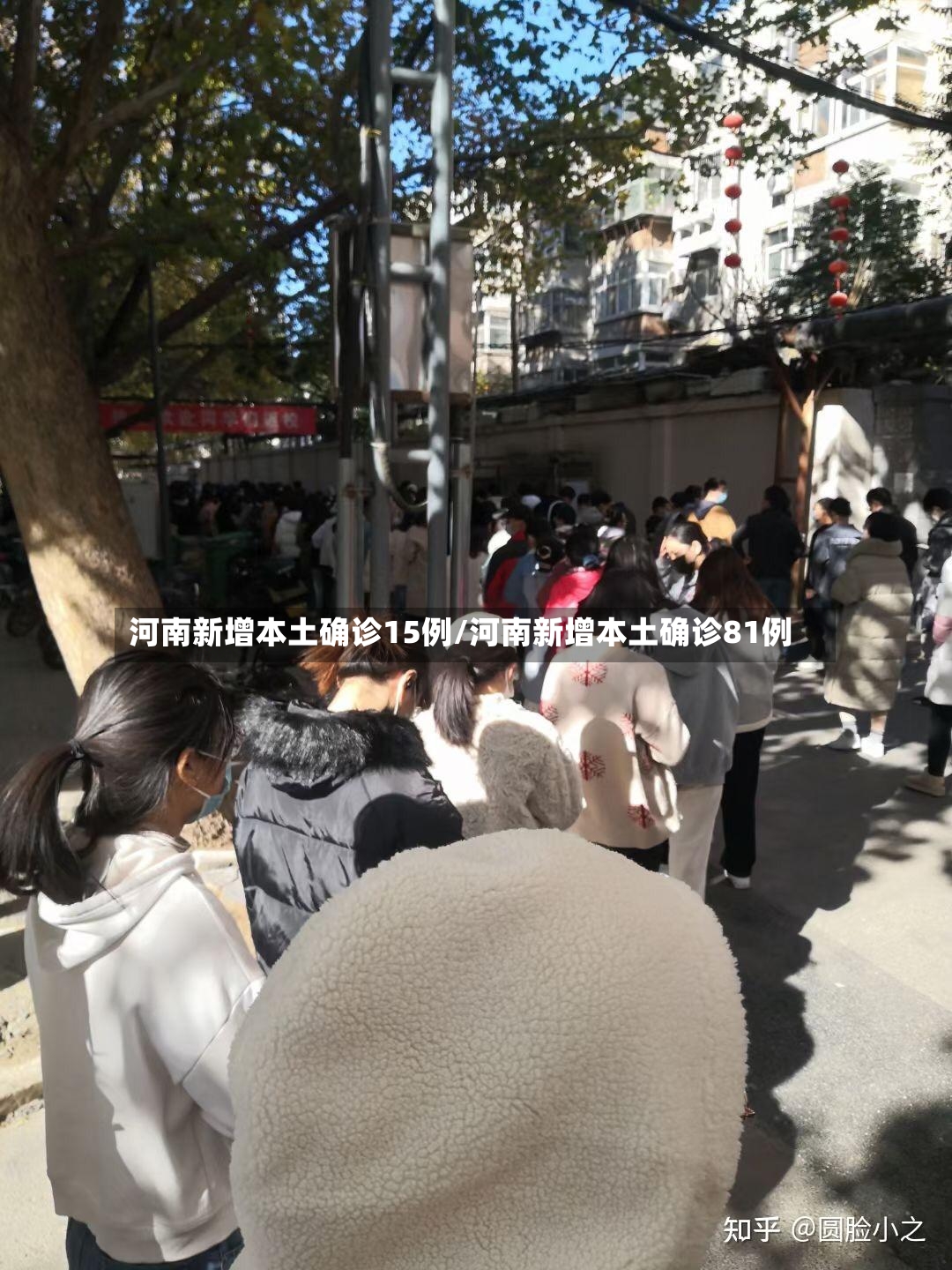 河南新增本土确诊15例/河南新增本土确诊81例-第3张图片