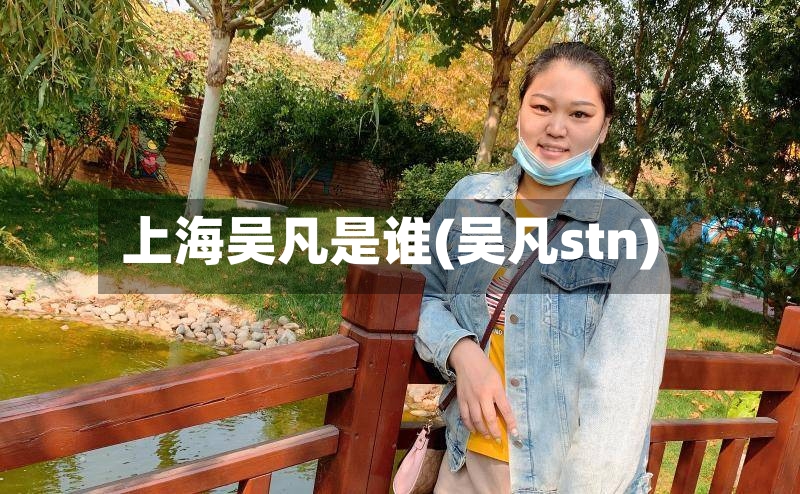 上海吴凡是谁(吴凡stn)-第2张图片