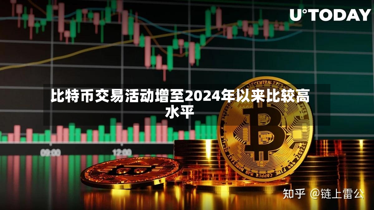 比特币交易活动增至2024年以来比较高
水平-第2张图片