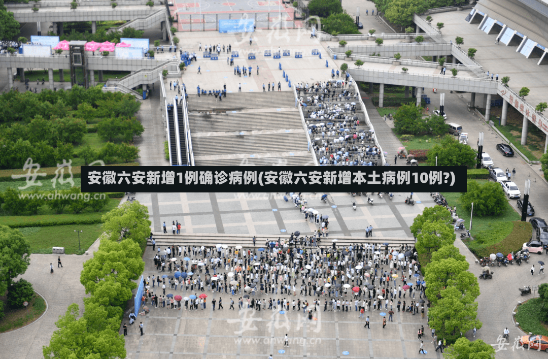 安徽六安新增1例确诊病例(安徽六安新增本土病例10例?)-第2张图片