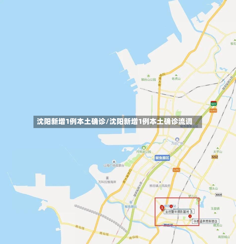 沈阳新增1例本土确诊/沈阳新增1例本土确诊流调