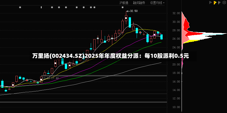 万里扬(002434.SZ)2025年年度权益分派：每10股派利0.5元-第2张图片