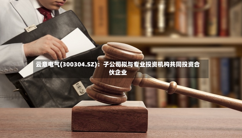 云意电气(300304.SZ)：子公司拟与专业投资机构共同投资合伙企业