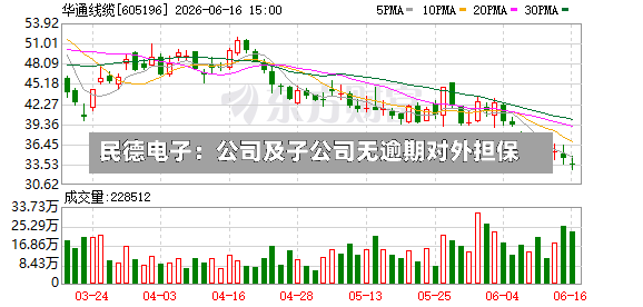 民德电子:公司及子公司无逾期对外担保-第3张图片