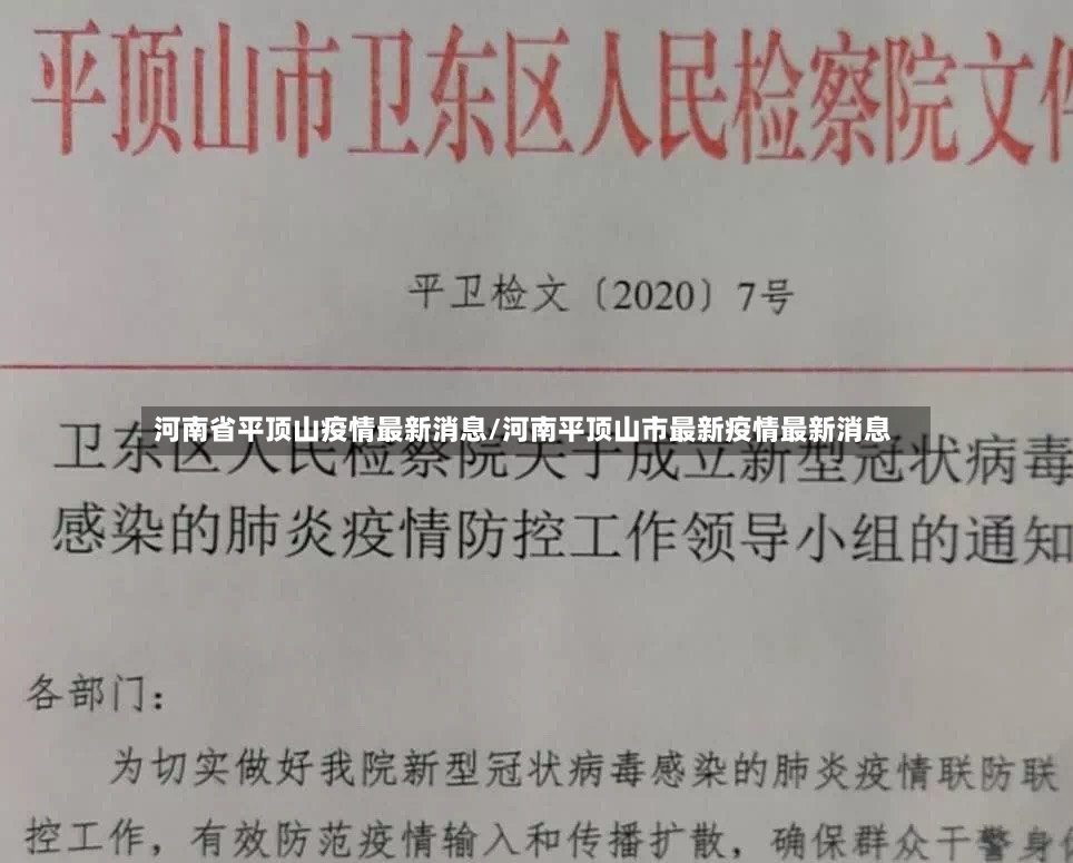 河南省平顶山疫情最新消息/河南平顶山市最新疫情最新消息-第3张图片