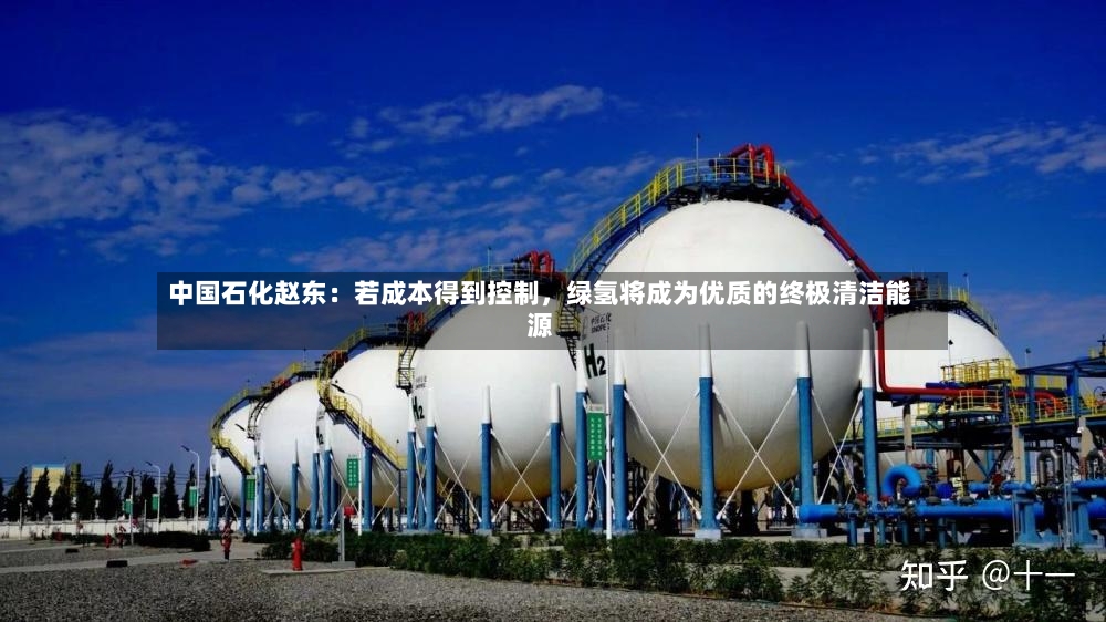 中国石化赵东：若成本得到控制	，绿氢将成为优质的终极清洁能源-第2张图片