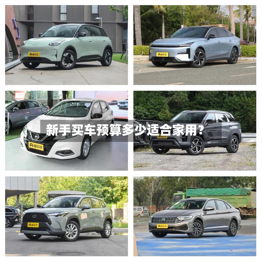 新手买车预算多少适合家用？
