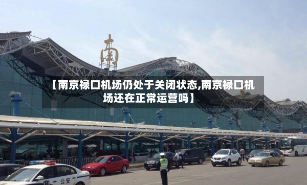 【南京禄口机场仍处于关闭状态,南京禄口机场还在正常运营吗】-第2张图片
