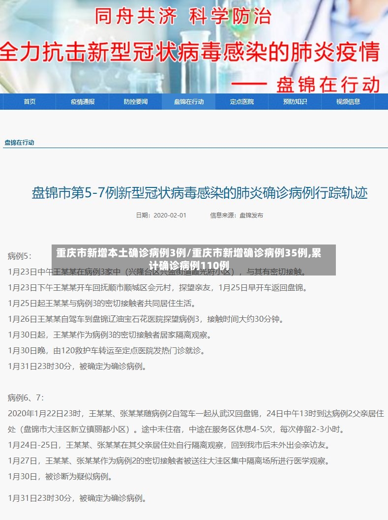 重庆市新增本土确诊病例3例/重庆市新增确诊病例35例,累计确诊病例110例