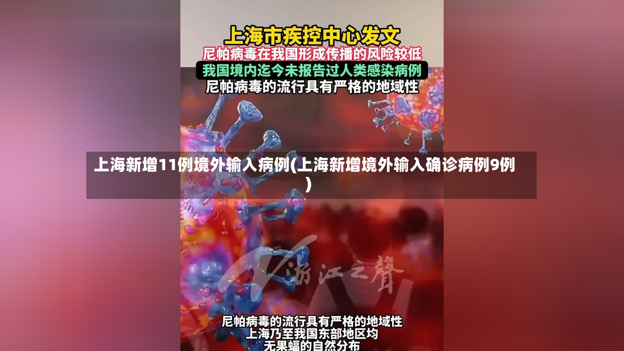 上海新增11例境外输入病例(上海新增境外输入确诊病例9例)-第3张图片