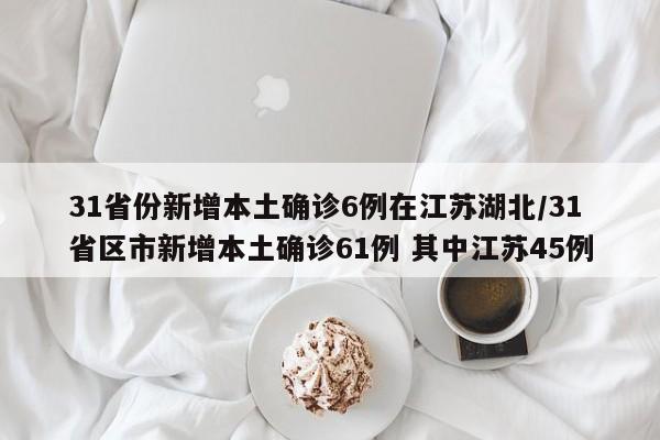 31省份新增本土确诊6例在江苏湖北/31省区市新增本土确诊61例 其中江苏45例