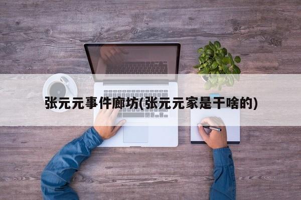 张元元事件廊坊(张元元家是干啥的)