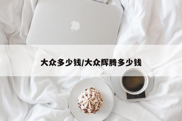 大众多少钱/大众辉腾多少钱