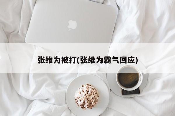 张维为被打(张维为霸气回应)